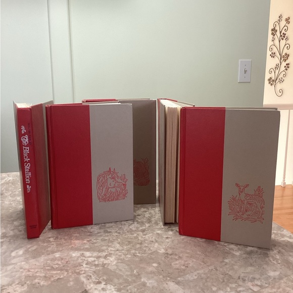 Vintage Other - 🚨Sale🚨 Vintage 5 Hardcover Children’s Novels